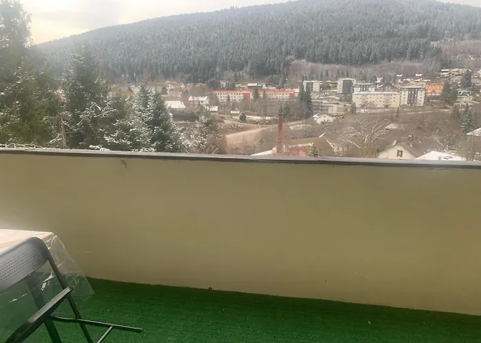 Apartment La Belle Vue Gerardmer