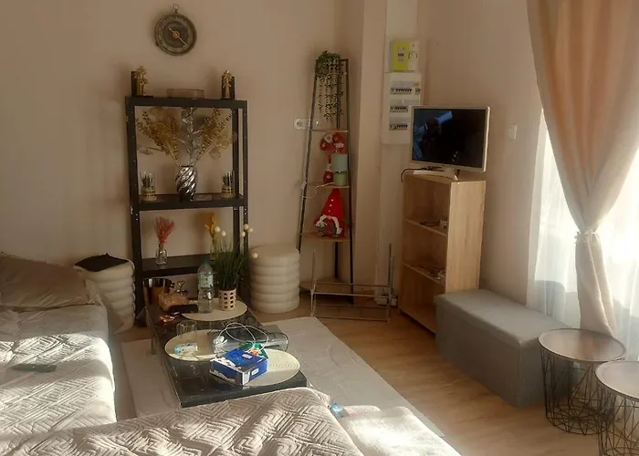 La Belle Vue Apartment *